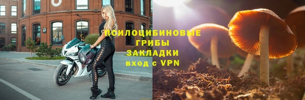винт Арсеньев