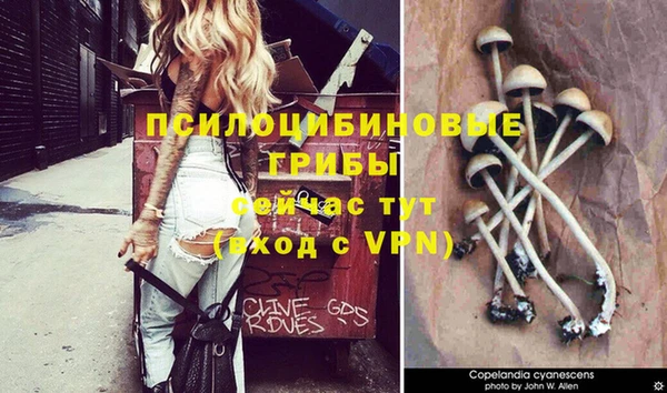 spice Армянск